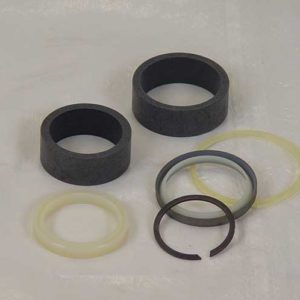 907004 CASE SEAL KIT